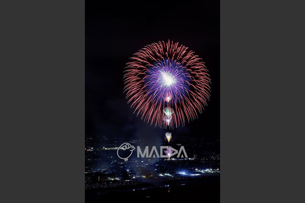 18昇り雄花四重芯変化菊-大曲の花火 第97回全国花火競技大会