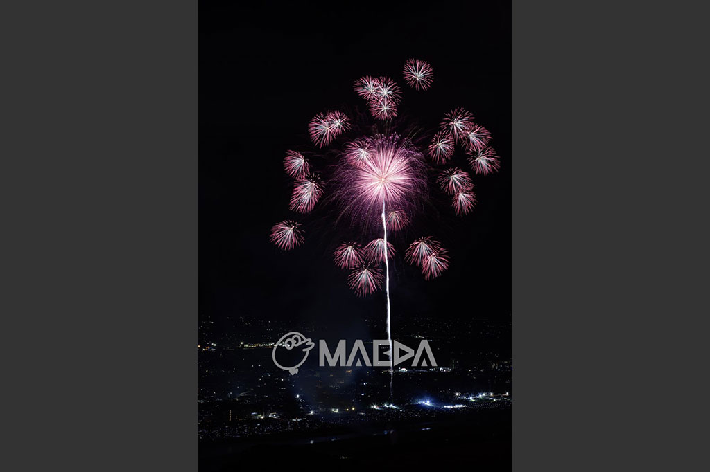 18桜花爛漫-大曲の花火 第97回全国花火競技大会